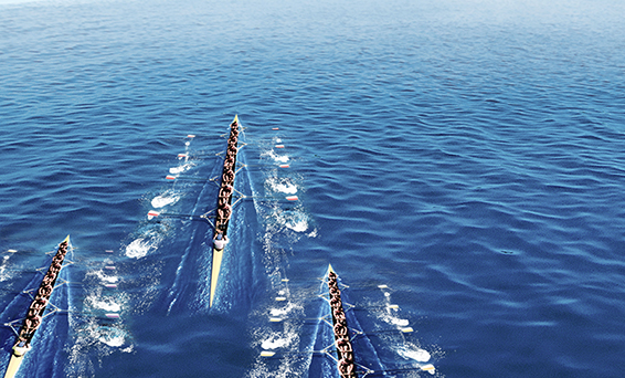 9001cc金沙以诚为本(中国)有限公司官网